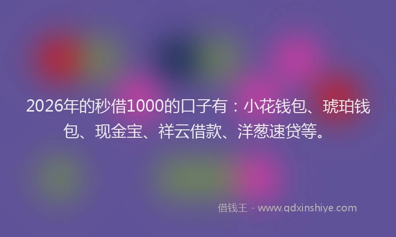 2026年的秒借1000的口子有：小花钱包、琥珀钱包、现金宝、祥云借款、洋葱速贷等。