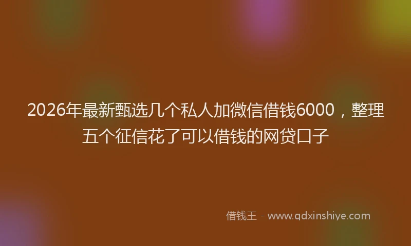 2026年最新甄选几个私人加微信借钱6000，整理五个征信花了可以借钱的网贷口子