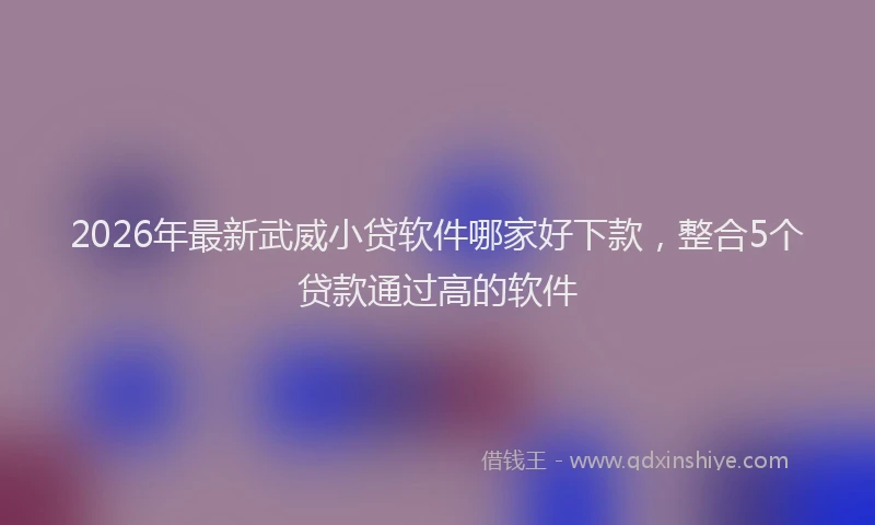 2026年最新武威小贷软件哪家好下款，整合5个贷款通过高的软件