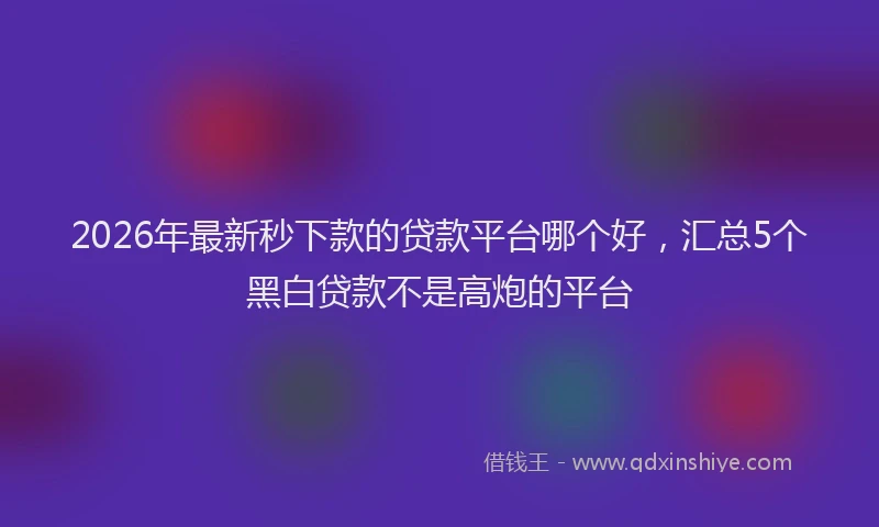 2026年最新秒下款的贷款平台哪个好，汇总5个黑白贷款不是高炮的平台