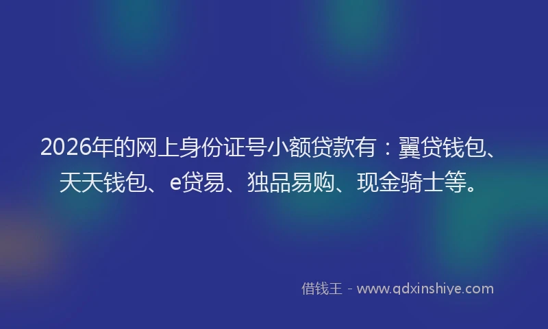 2026年的网上身份证号小额贷款有：翼贷钱包、天天钱包、e贷易、独品易购、现金骑士等。