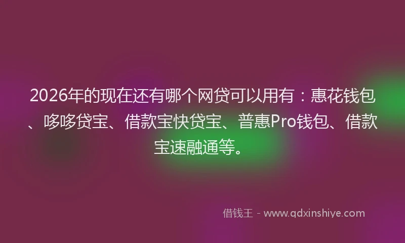 2026年的现在还有哪个网贷可以用有：惠花钱包、哆哆贷宝、借款宝快贷宝、普惠Pro钱包、借款宝速融通等。