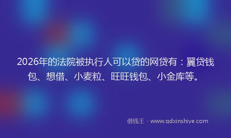 2026年的法院被执行人可以贷的网贷有：翼贷钱包、想借、小麦粒、旺旺钱包、小金库等。