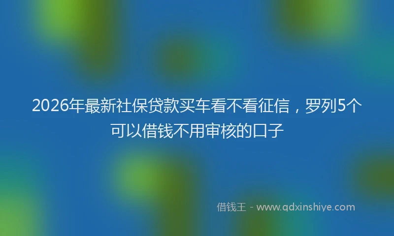2026年最新社保贷款买车看不看征信，罗列5个可以借钱不用审核的口子