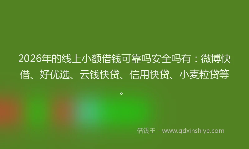 2026年的线上小额借钱可靠吗安全吗有：微博快借、好优选、云钱快贷、信用快贷、小麦粒贷等。