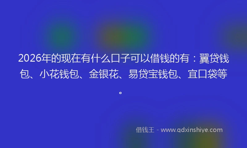 2026年的现在有什么口子可以借钱的有：翼贷钱包、小花钱包、金银花、易贷宝钱包、宜口袋等。