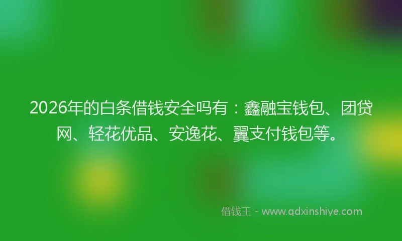 2026年的白条借钱安全吗有：鑫融宝钱包、团贷网、轻花优品、安逸花、翼支付钱包等。