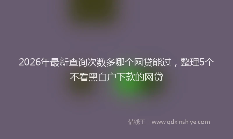 2026年最新查询次数多哪个网贷能过，整理5个不看黑白户下款的网贷