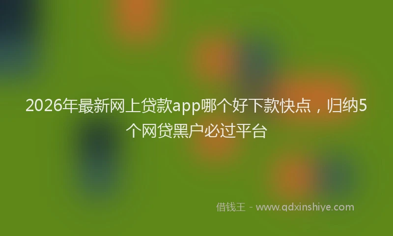 2026年最新网上贷款app哪个好下款快点，归纳5个网贷黑户必过平台
