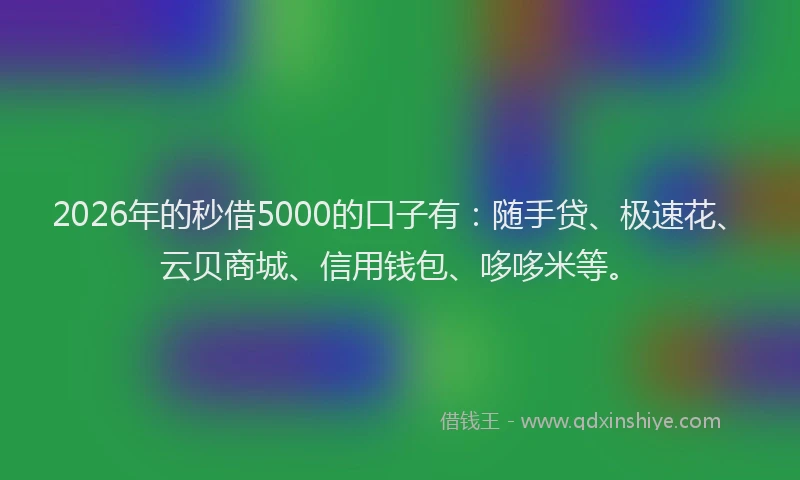 2026年的秒借5000的口子有：随手贷、极速花、云贝商城、信用钱包、哆哆米等。