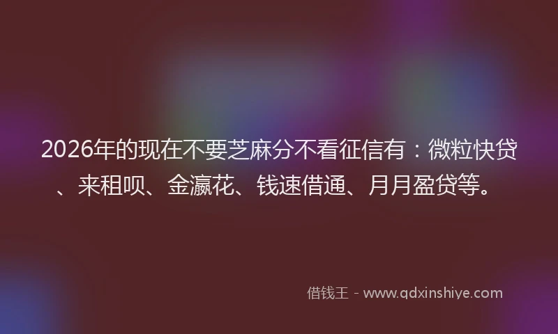 2026年的现在不要芝麻分不看征信有：微粒快贷、来租呗、金瀛花、钱速借通、月月盈贷等。
