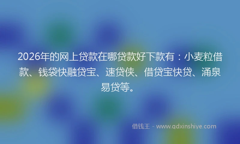 2026年的网上贷款在哪贷款好下款有：小麦粒借款、钱袋快融贷宝、速贷侠、借贷宝快贷、涌泉易贷等。