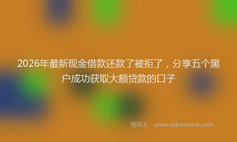 2026年最新现金借款还款了被拒了，分享五个黑户成功获取大额贷款的口子