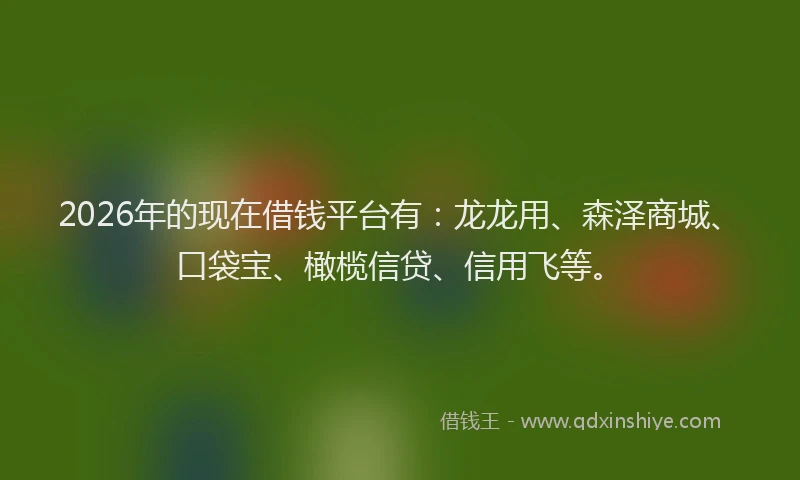 2026年的现在借钱平台有：龙龙用、森泽商城、口袋宝、橄榄信贷、信用飞等。