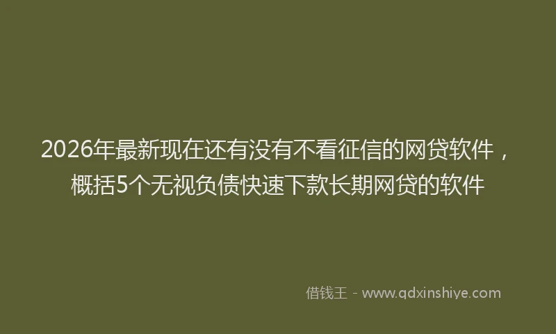 2026年最新现在还有没有不看征信的网贷软件，概括5个无视负债快速下款长期网贷的软件