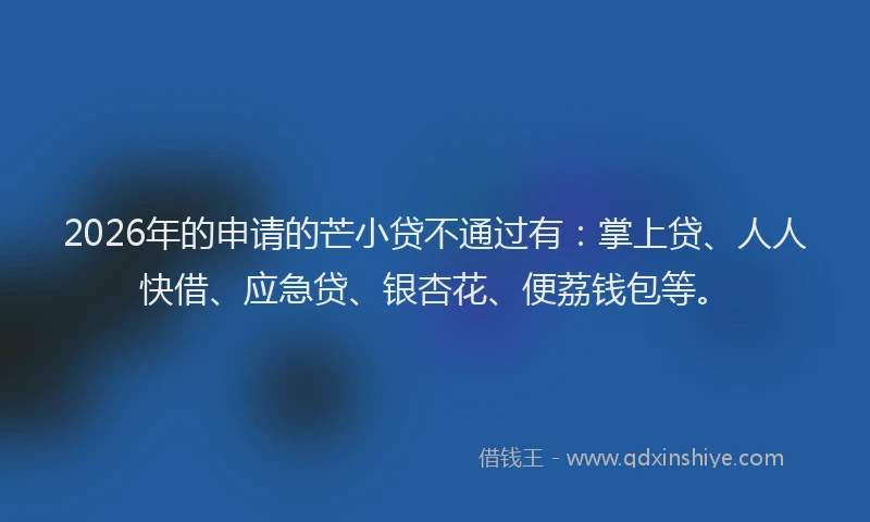 2026年的申请的芒小贷不通过有：掌上贷、人人快借、应急贷、银杏花、便荔钱包等。