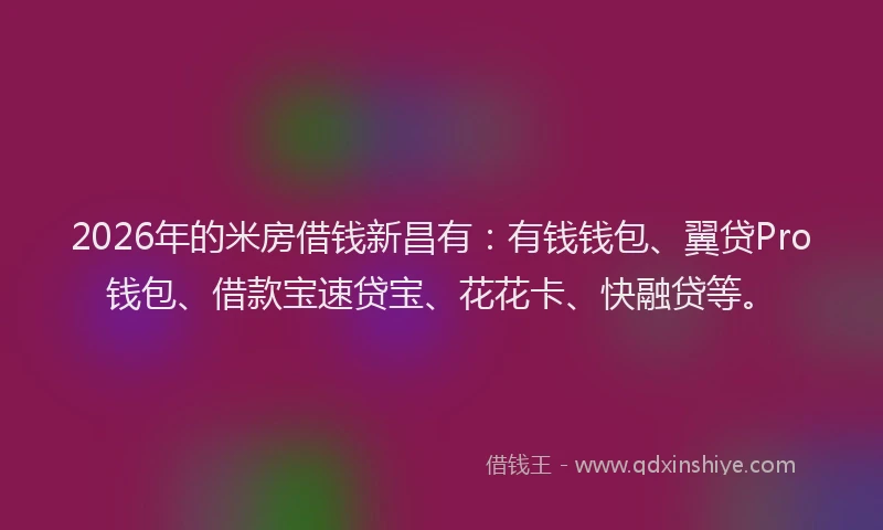 2026年的米房借钱新昌有：有钱钱包、翼贷Pro钱包、借款宝速贷宝、花花卡、快融贷等。