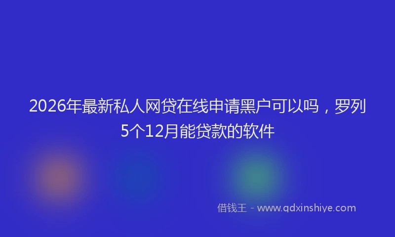 2026年最新私人网贷在线申请黑户可以吗，罗列5个12月能贷款的软件