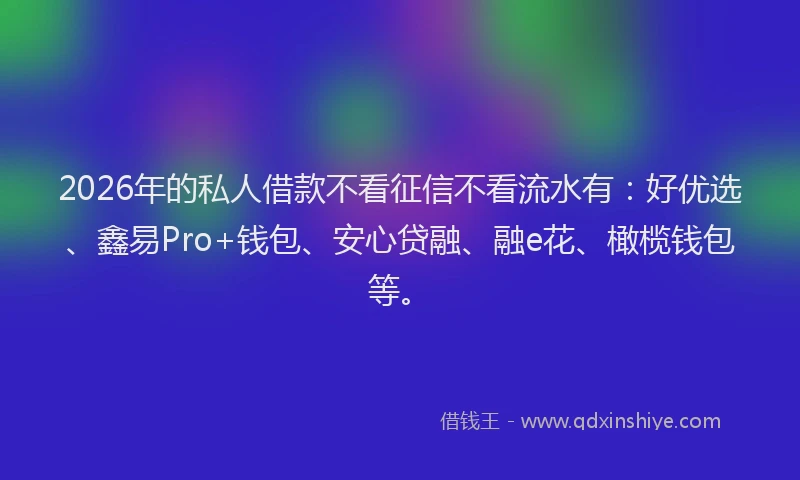 2026年的私人借款不看征信不看流水有：好优选、鑫易Pro+钱包、安心贷融、融e花、橄榄钱包等。