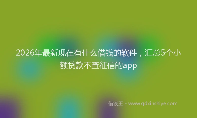 2026年最新现在有什么借钱的软件，汇总5个小额贷款不查征信的app