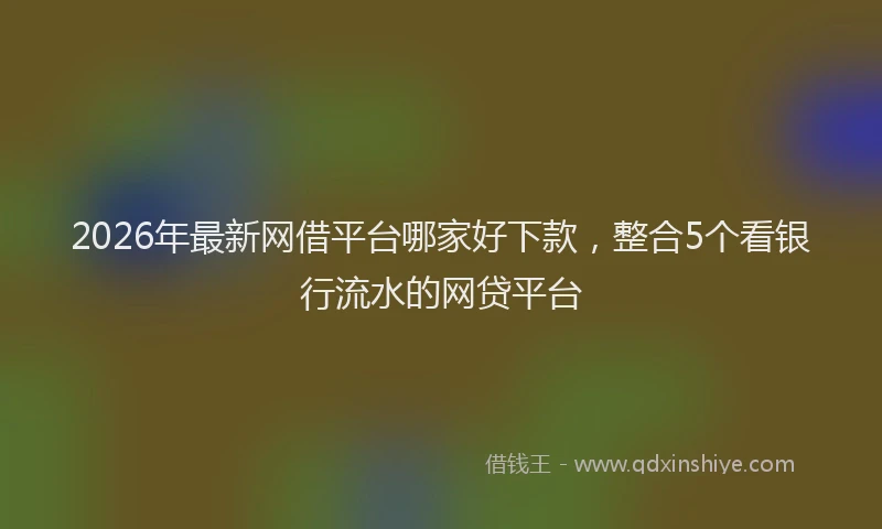 2026年最新网借平台哪家好下款，整合5个看银行流水的网贷平台