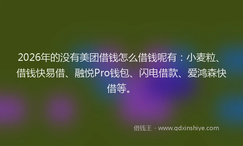 2026年的没有美团借钱怎么借钱呢有：小麦粒、借钱快易借、融悦Pro钱包、闪电借款、爱鸿森快借等。
