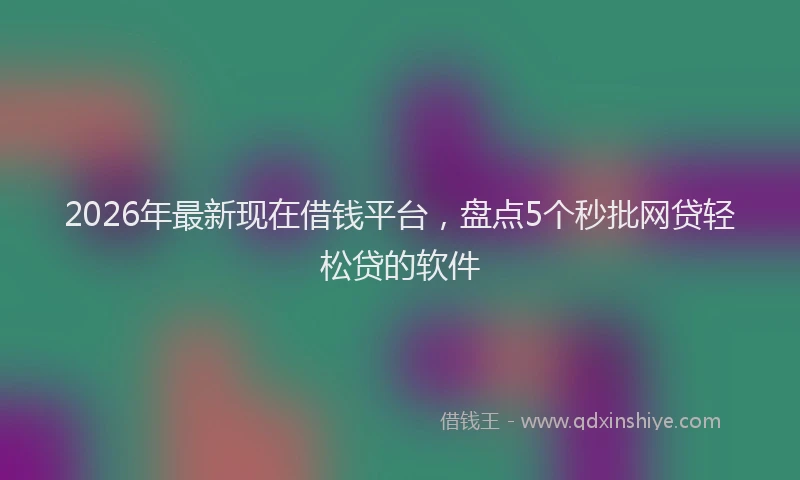2026年最新现在借钱平台，盘点5个秒批网贷轻松贷的软件