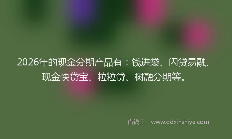 2026年的现金分期产品有：钱进袋、闪贷易融、现金快贷宝、粒粒贷、树融分期等。