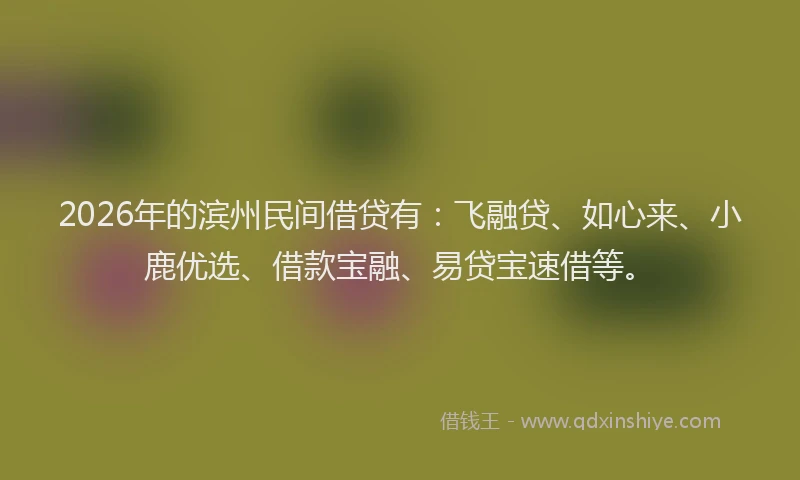 2026年的滨州民间借贷有：飞融贷、如心来、小鹿优选、借款宝融、易贷宝速借等。
