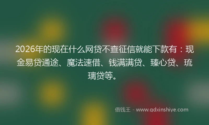 2026年的现在什么网贷不查征信就能下款有：现金易贷通途、魔法速借、钱满满贷、臻心贷、琉璃贷等。