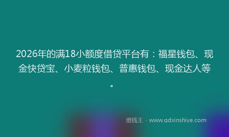 2026年的满18小额度借贷平台有：福星钱包、现金快贷宝、小麦粒钱包、普惠钱包、现金达人等。