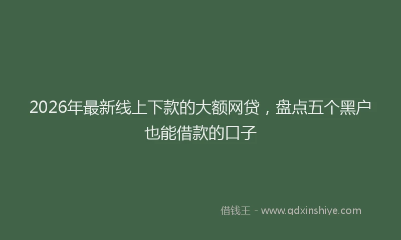 2026年最新线上下款的大额网贷，盘点五个黑户也能借款的口子