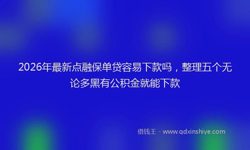 2026年最新点融保单贷容易下款吗，整理五个无论多黑有公积金就能下款