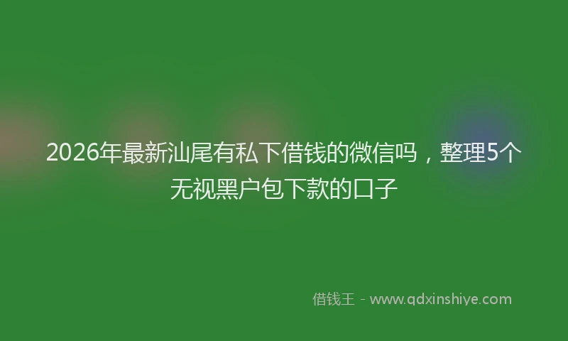 2026年最新汕尾有私下借钱的微信吗，整理5个无视黑户包下款的口子