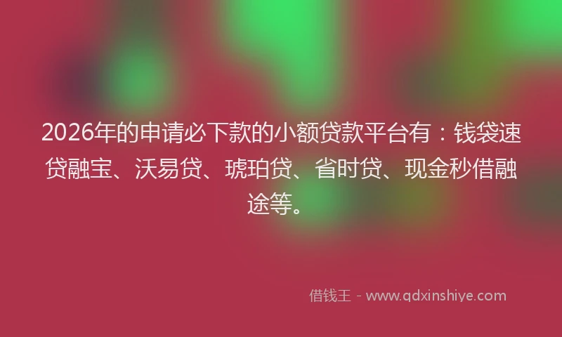 2026年的申请必下款的小额贷款平台有：钱袋速贷融宝、沃易贷、琥珀贷、省时贷、现金秒借融途等。
