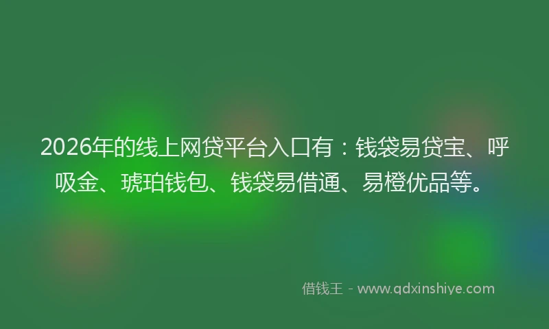 2026年的线上网贷平台入口有：钱袋易贷宝、呼吸金、琥珀钱包、钱袋易借通、易橙优品等。