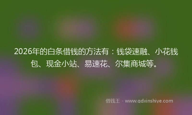 2026年的白条借钱的方法有：钱袋速融、小花钱包、现金小站、易速花、尔集商城等。