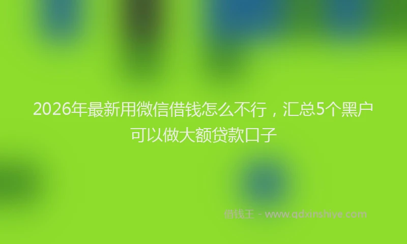 2026年最新用微信借钱怎么不行，汇总5个黑户可以做大额贷款口子