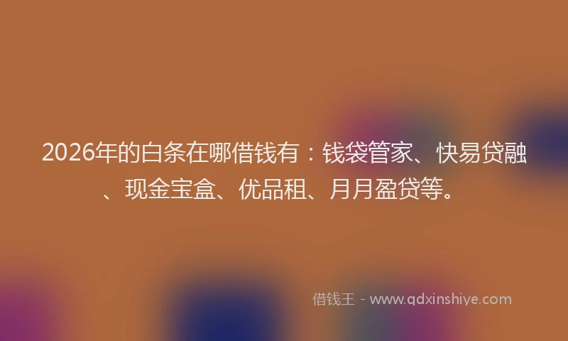 2026年的白条在哪借钱有：钱袋管家、快易贷融、现金宝盒、优品租、月月盈贷等。