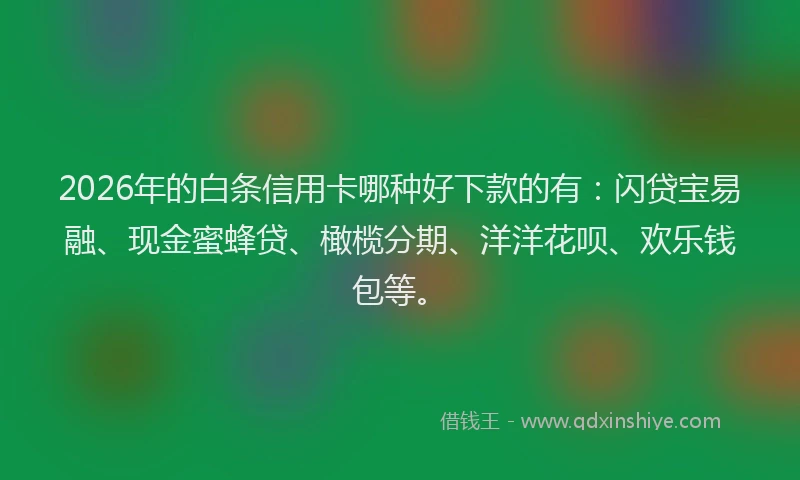 2026年的白条信用卡哪种好下款的有：闪贷宝易融、现金蜜蜂贷、橄榄分期、洋洋花呗、欢乐钱包等。