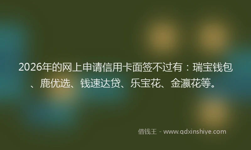 2026年的网上申请信用卡面签不过有：瑞宝钱包、鹿优选、钱速达贷、乐宝花、金瀛花等。