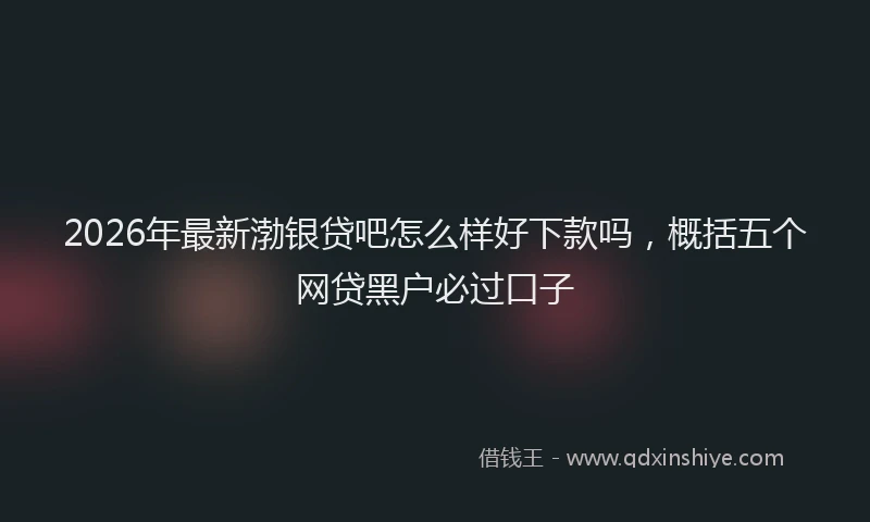2026年最新渤银贷吧怎么样好下款吗，概括五个网贷黑户必过口子