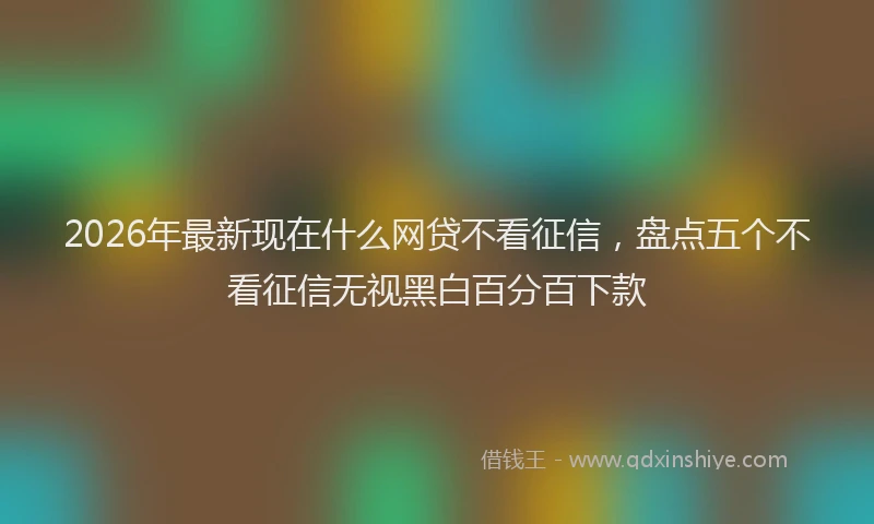 2026年最新现在什么网贷不看征信，盘点五个不看征信无视黑白百分百下款