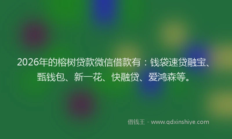 2026年的榕树贷款微信借款有：钱袋速贷融宝、甄钱包、新一花、快融贷、爱鸿森等。