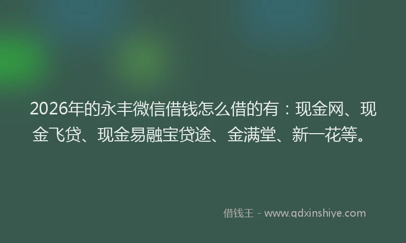 2026年的永丰微信借钱怎么借的有：现金网、现金飞贷、现金易融宝贷途、金满堂、新一花等。
