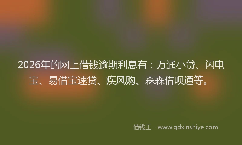 2026年的网上借钱逾期利息有：万通小贷、闪电宝、易借宝速贷、疾风购、森森借呗通等。