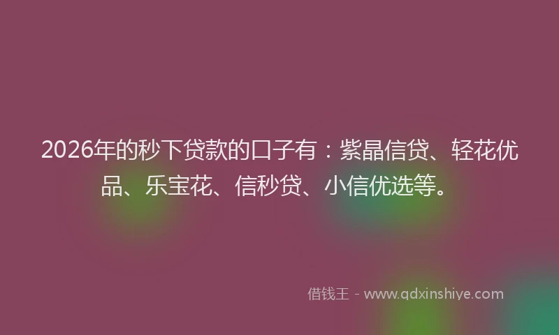 2026年的秒下贷款的口子有：紫晶信贷、轻花优品、乐宝花、信秒贷、小信优选等。