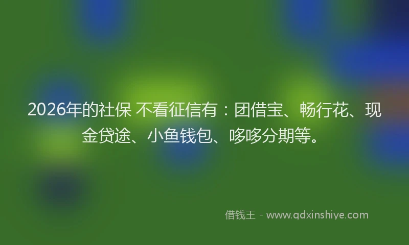 2026年的社保 不看征信有：团借宝、畅行花、现金贷途、小鱼钱包、哆哆分期等。