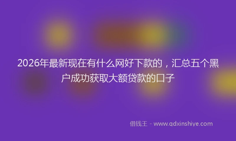 2026年最新现在有什么网好下款的，汇总五个黑户成功获取大额贷款的口子