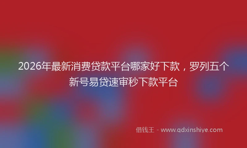 2026年最新消费贷款平台哪家好下款，罗列五个新号易贷速审秒下款平台